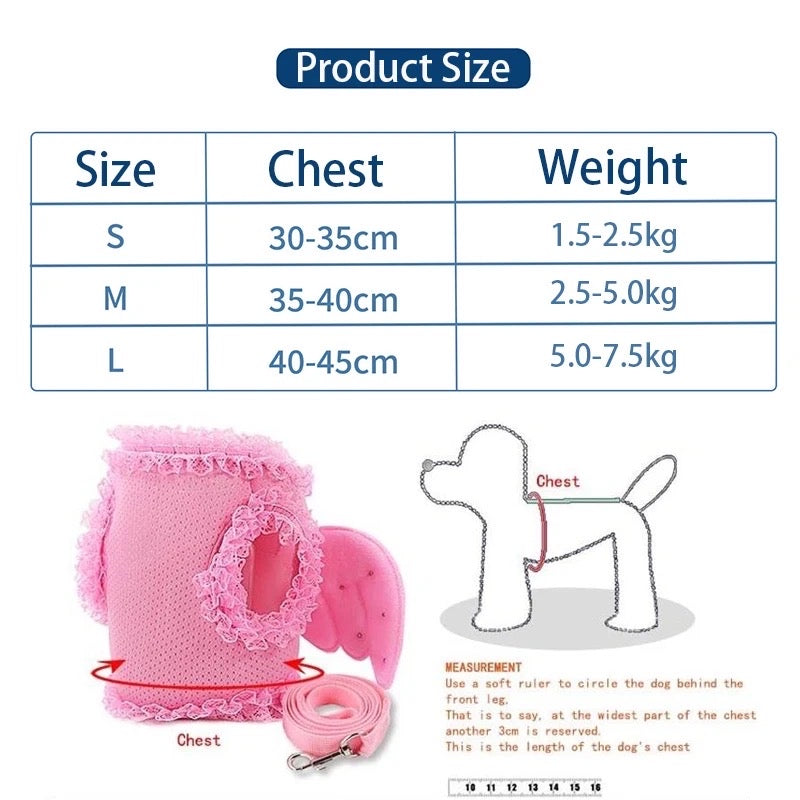 Angel Wings Harness & Leash Set