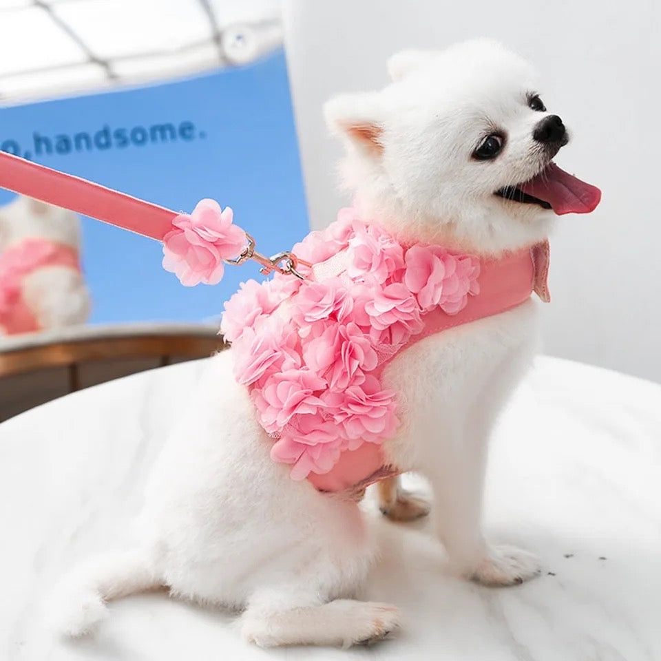 Cherry Blossom Harness & Leash Set