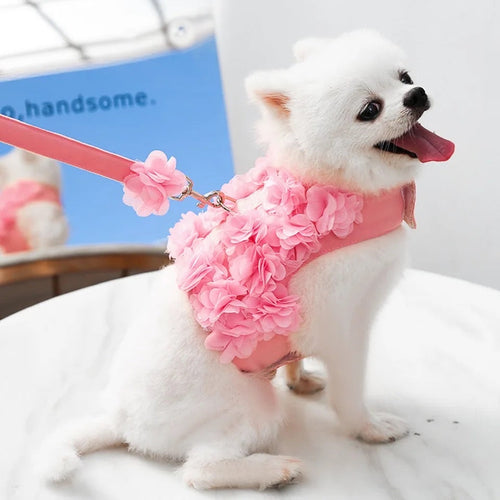 Cherry Blossom Harness & Leash Set