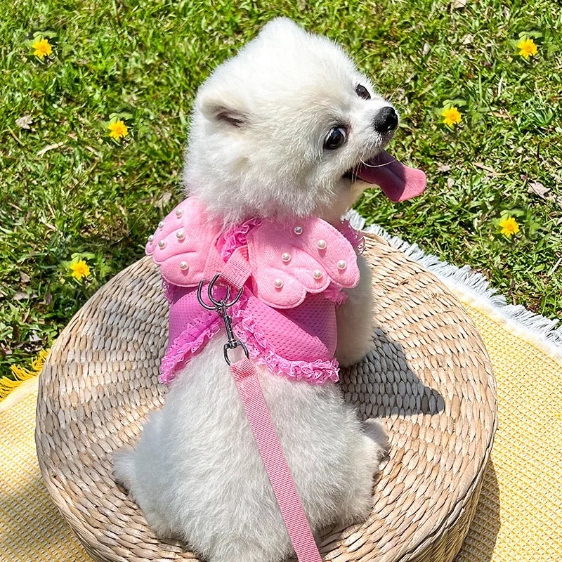 Angel Wings Harness & Leash Set