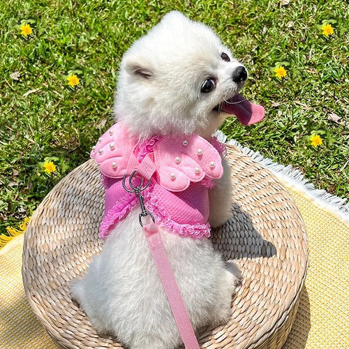 Angel Wings Harness & Leash Set