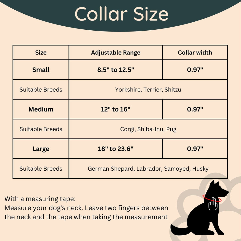 Waterproof Collar, Leash & Tag Set