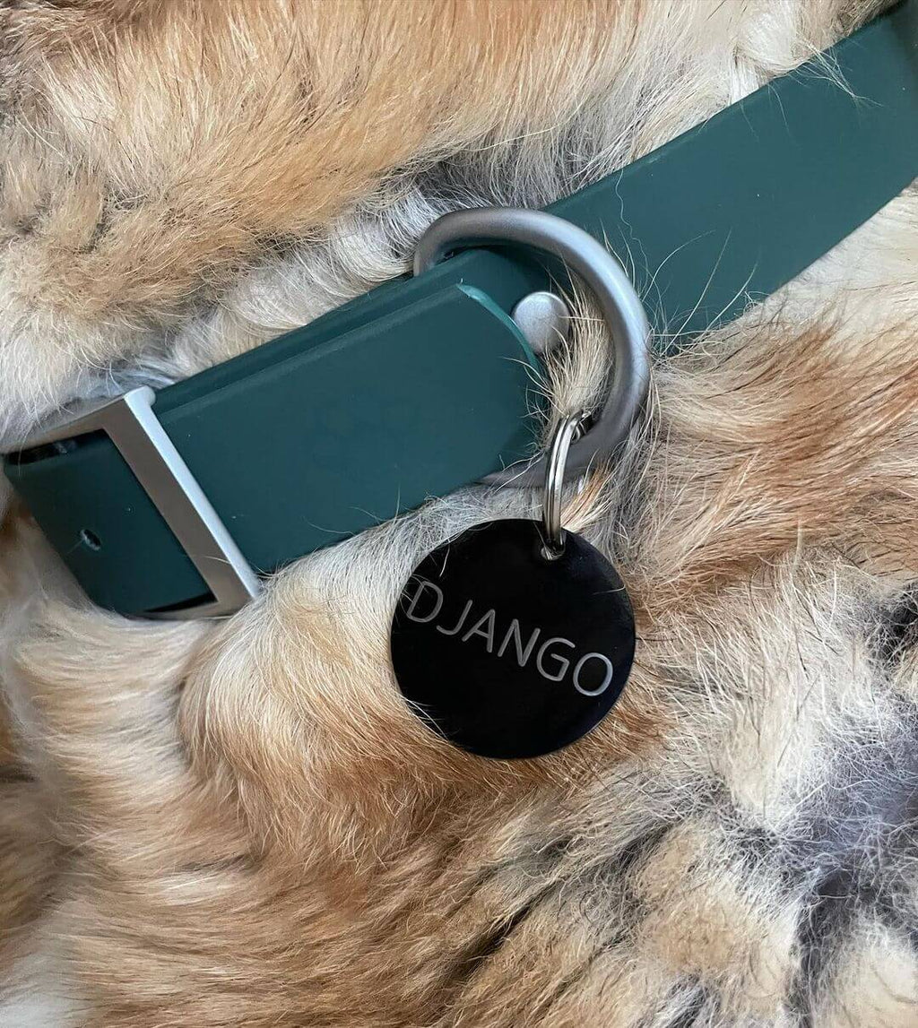 Waterproof Collar, Leash & Tag Set