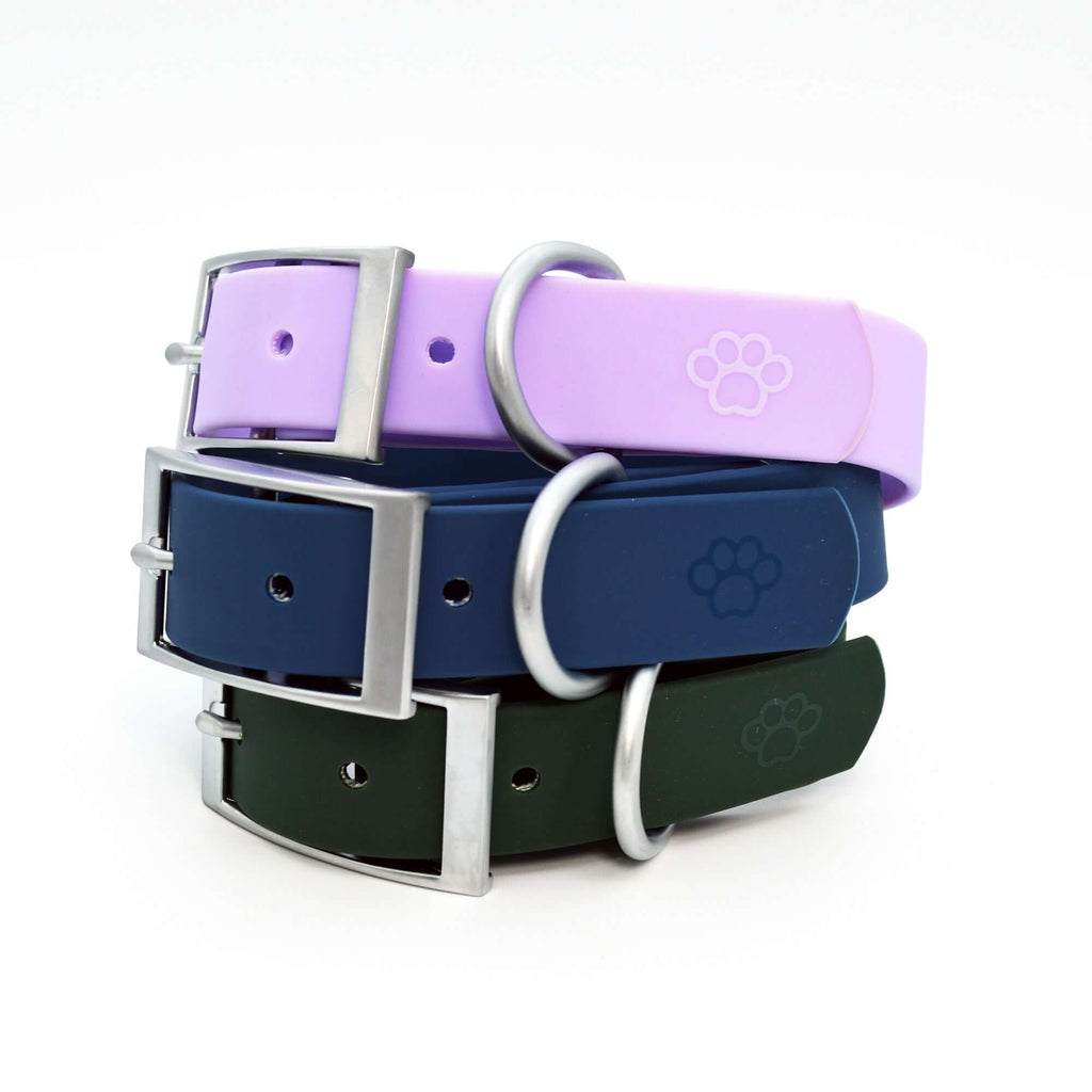 Waterproof Collar, Leash & Tag Set