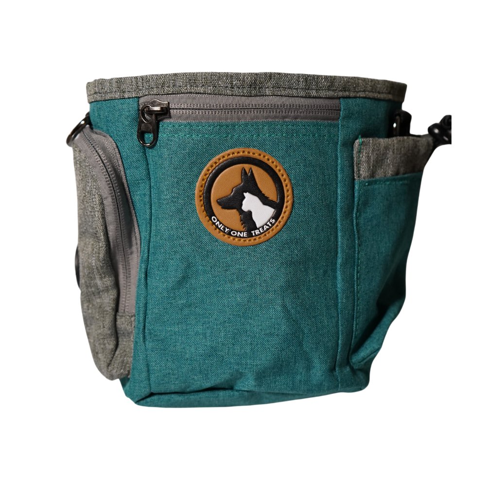 Large teal dog training treat pouch