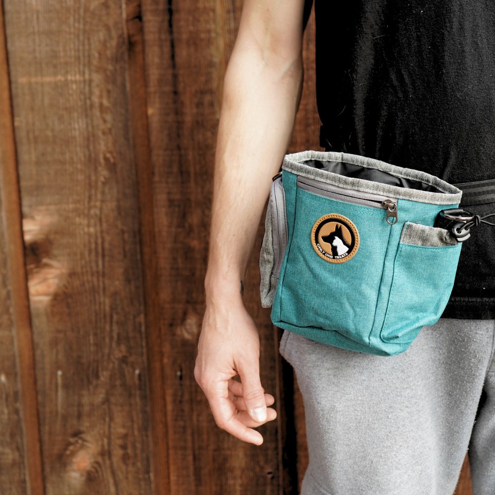 Large teal dog training treat pouch – compartments