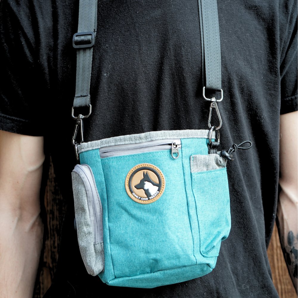 Large teal dog training treat pouch – in use