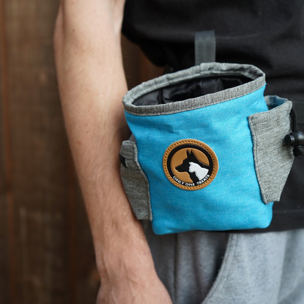 Medium blue dog training treat pouch – in use